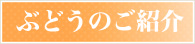 ぶどうのご紹介